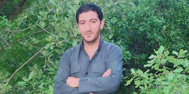sirwan nejavi