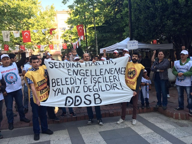 ddsb