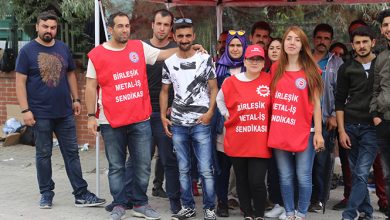 3diamvitrin